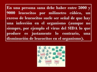 ?

En una persona sana debe haber entre 5000 y
9000 leucocitos por milímetro cúbico, un
exceso de leucocitos suele ser señal de que hay
una infección en el organismo (aunque no
siempre, por ejemplo el virus del SIDA lo que
produce es justamente lo contrario, una
disminución de leucocitos en el organismo).
 
