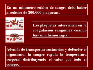 ?

En un milímetro cúbico de sangre debe haber
alrededor de 300.000 plaquetas.


               Las plaquetas intervienen en la
               coagulación sanguínea cuando
               hay una hemorragia.


Además de transportar sustancias y defender el
organismo, la sangre regula la temperatura
corporal distribuyendo el calor por todo el
cuerpo.
 