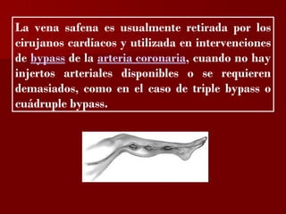 ?


La vena safena es usualmente retirada por los
cirujanos cardíacos y utilizada en intervenciones
de bypass de la arteria coronaria, cuando no hay
injertos arteriales disponibles o se requieren
demasiados, como en el caso de triple bypass o
cuádruple bypass.
 