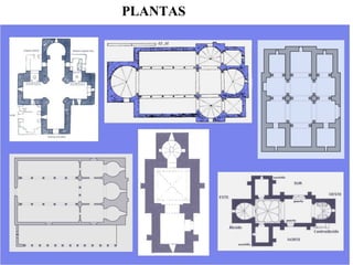 PLANTAS
 