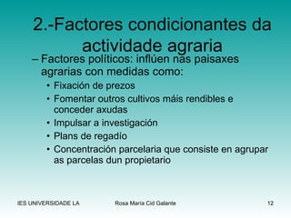 Factores políticos: inflúen nas paisaxes agrarias con medidas como: Fixación de prezos Fomentar outros cultivos máis rendibles e conceder axudas Impulsar a investigación Plans de regadío Concentración parcelaria que consiste en agrupar as parcelas dun propietario 2.-Factores condicionantes da actividade agraria 
