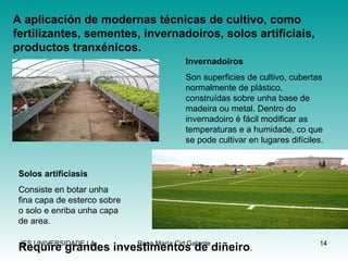 A aplicación de modernas técnicas de cultivo, como fertilizantes, sementes, invernadoiros, solos artificiais, productos tranxénicos. Invernadoiros Son superficies de cultivo, cubertas normalmente de plástico, construídas sobre unha base de madeira ou metal. Dentro do invernadoiro é fácil modificar as temperaturas e a humidade, co que se pode cultivar en lugares difíciles. Solos artificiasis Consiste en botar unha fina capa de esterco sobre o solo e enriba unha capa de area. Require grandes investimentos de diñeiro . 