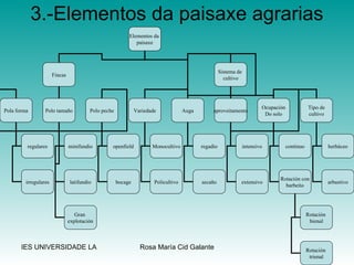 3.-Elementos da paisaxe agrarias Elementos da  paisaxe Fincas Sistema de  cultivo Pola forma Polo tamaño Polo peche regulares irregulares minifundio latifundio Gran  explotación openfield bocage Variedade Auga aproveitamento Monocultivo Policultivo regadío secaño intensivo extensivo Ocupación Do solo contínuo Rotación con barbeito Rotación  bienal Rotación  trienal Tipo de cultivo herbáceo arbustivo 