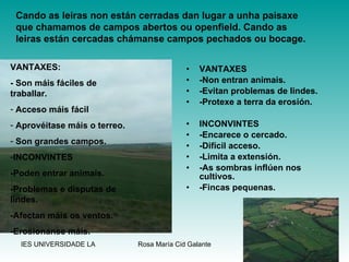 . VANTAXES -Non entran animais. -Evitan problemas de lindes. -Protexe a terra da erosión. INCONVINTES -Encarece o cercado. -Difícil acceso. -Limita a extensión. -As sombras inflúen nos cultivos. -Fincas pequenas. Cando as leiras non están cerradas dan lugar a unha paisaxe que chamamos de campos abertos ou openfield. Cando as leiras están cercadas chámanse campos pechados ou bocage. VANTAXES: - Son máis fáciles de traballar.  Acceso máis fácil Aprovéitase máis o terreo. Son grandes campos. INCONVINTES -Poden entrar animais. -Problemas e disputas de lindes. -Afectan máis os ventos. -Erosionanse máis. 