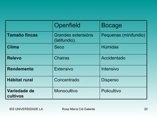 Policultivo  Monocultivo Variedade de cultivos Disperso Concentrado Hábitat rural Intensivo Extensivo Rendemento Accidentado Chairas Relevo Húmidas Seco Clima Pequenas (minifundio) Grandes extensións (latifundio). Tamaño fincas Bocage Openfield 