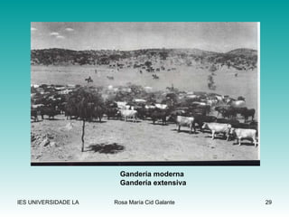 Gandería moderna Gandería extensiva 