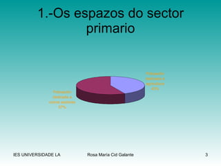 1.-Os espazos do sector primario 