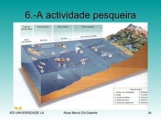 6.-A actividade pesqueira 