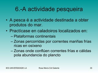 6.-A actividade pesqueira A pesca é a actividade destinada a obter produtos do mar. Practícase en caladoiros localizados en: Plataformas continentais Zonas percorridas por correntes mariñas frías ricas en osíxeno Zonas onde conflúen correntes frías e cálidas pola abundancia do plancto 