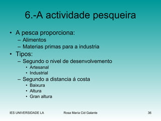 A pesca proporciona: Alimentos Materias primas para a industria Tipos: Segundo o nivel de desenvolvemento Artesanal Industrial Segundo a distancia á costa Baixura Altura Gran altura 6.-A actividade pesqueira 