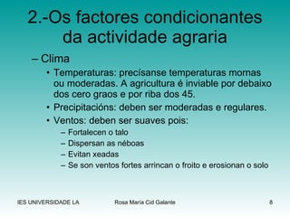 2.-Os factores condicionantes da actividade agraria Clima Temperaturas: precísanse temperaturas mornas ou moderadas. A agricultura é inviable por debaixo dos cero graos e por riba dos 45. Precipitacións: deben ser moderadas e regulares. Ventos: deben ser suaves pois: Fortalecen o talo Dispersan as néboas Evitan xeadas Se son ventos fortes arrincan o froito e erosionan o solo 