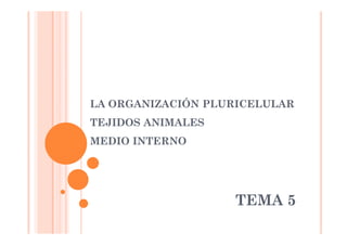 LA ORGANIZACIÓN PLURICELULAR 
TEJIDOS ANIMALES 
MEDIO INTERNO 
TEMA 5 
 