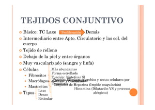 TEJIDOS CONJUNTIVO 
 Básico: TC Laxo Demás 
 Intermediario entre Apto. Circulatorio y las cel. del 
cuerpo 
 Tejido de relleno 
 Debajo de la piel y entre órganos 
 Muy vascularizado (sangre y linfa) 
 Células 
 Fibrocitos 
 Macrófagos 
 Mastocitos 
 Tipos 
Proliferación 
Más abundantes 
Forma estrellada 
Función: Sintetizar SI 
JFóuvnencieósn. :F Eiblirmobinlaasrt omsicrobios y restos celulares por 
fagocitosis 
Grades y redondeadas 
Cargadas de Heparina (Impide coagulación) 
Histamina (Dilatación VS y procesos 
alérgicos) 
Laxo 
Denso 
Reticular 
 