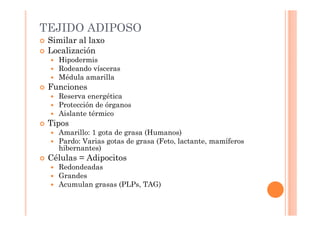 TEJIDO ADIPOSO 
 Similar al laxo 
 Localización 
 Hipodermis 
 Rodeando vísceras 
 Médula amarilla 
 Funciones 
 Reserva energética 
 Protección de órganos 
 Aislante térmico 
 Tipos 
 Amarillo: 1 gota de grasa (Humanos) 
 Pardo: Varias gotas de grasa (Feto, lactante, mamíferos 
hibernantes) 
 Células = Adipocitos 
 Redondeadas 
 Grandes 
 Acumulan grasas (PLPs, TAG) 
 