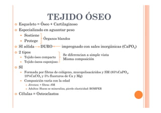 TEJIDO ÓSEO 
 Esqueleto = Óseo + Cartilaginoso 
 Especializado en aguantar peso 
 Sostiene 
 Protege 
Órganos blandos 
 SI sólida DURO impregnado con sales inorgánicas (CaPO4) 
 2 tipos 
 Tejido óseo compacto 
 Tejido óseos esponjoso 
 SI 
 Formada por fibras de colágeno, mucopolisacáridos y SM (85%CaPO4, 
10%CaCO3 y 5% fluoruros de Ca y Mg) 
 Composición varía con la edad 
 Jóvenes: + fibras -SM 
 Adultos: Hueso se mineraliza, pierde elasticidad: ROMPER 
 Células = Osteoclastos 
Se diferencian a simple vista 
Misma composición 
 