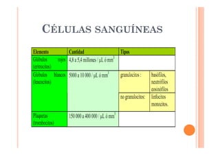 CÉLULAS SANGUÍNEAS 
 