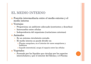 EL MEDIO INTERNO 
 Función intermediaria entre el medio externo y el 
medio interno 
 Ventajas 
 Proporciona un ambiente adecuado (nutrientes y desechos) 
 Intercambio entre células 
 Independencia del organismo (variaciones externas) 
 Animales 
 Es un sistema circulatorio cerrado. 
 El medio interno se puede dividir en: 
 Plasma sanguíneo, en el interior de vasos sanguíneos y 
linfáticos 
 Líquido intersticial, ocupa el espacio entre las células 
 Vegetales 
 Formado por los líquidos que circulan por los espacios 
intercelulares y por el interior del Xilema y el Floema 
 