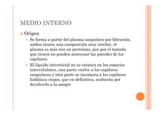 MEDIO INTERNO 
 Origen 
 Se forma a partir del plasma sanguíneo por filtración, 
ambos tienen una composición muy similar, el 
plasma es más rico en proteínas, que por el tamaño 
que tienen no pueden atravesar las paredes de los 
capilares. 
 El líquido intersticial no se estanca en los espacios 
intercelulares, una parte vuelve a los capilares 
sanguíneos y otra parte se incorpora a los capilares 
linfáticos ciegos, que en definitiva, acabarán por 
devolverlo a la sangre 
 