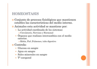 HOMEOSTASIS 
 Conjunto de procesos fisiológicos que mantienen 
estables las características del medio interno. 
 Animales esta actividad se mantiene por: 
 La actividad coordinada de los sistemas: 
 Circulatorio, Nervioso y Hormonal 
 Órganos que realizan intercambios con el medio 
exterior. 
 Riñón, Piel ,Pulmones, tubo digestivo 
 Controla: 
 Glucosa en sangre 
 Agua en sangre 
 Sales minerales en sangre 
 Tª coroporal 
 