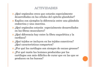 ACTIVIDADES 
 ¿Qué orgánulos crees que estarán especialmente 
desarrollados en las células del epitelio glandular? 
 Explica con ejemplos la diferencia entre una glándula 
endocrina y una exocrina. 
 ¿Qué orgánulos estarán especialmente desarrollados 
en las fibras musculares? 
 ¿Qué diferencia hay entre la fibra esquelética y la 
cardíaca? 
 ¿Qué tejidos se incluyen en los tejidos conectivos? 
¿Qué características comparten? 
 ¿Por qué los cartílagos son siempre de escaso grososr? 
 ¿Por qué razón las lesiones producidas por los 
cartílagos son más difíciles de curar que en las que se 
producen en los huesos? 
 