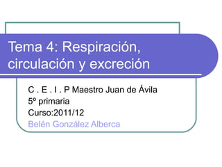 Tema 4: Respiración,
circulación y excreción
C . E . I . P Maestro Juan de Ávila
5º primaria
Curso:2011/12
Belén González Alberca
 