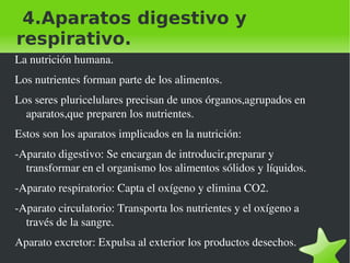 4.Aparatos digestivo y respirativo.  ,[object Object]