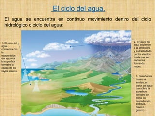 El ciclo del agua.     El agua se encuentra en continuo movimiento dentro del ciclo hidrológico o ciclo del agua:   1. El ciclo del agua comienza con la evaporación del agua de la superficie terrestre a causa de los rayos solares. 2. El vapor de agua asciende a la atmósfera y es trasladado por los vientos, hasta que se condensa formando nubes. 3. Cuando las nubes se enfrían, el vapor de agua cae sobre la superficie terrestre en forma de precipitación de lluvia, nieve o granizo. 