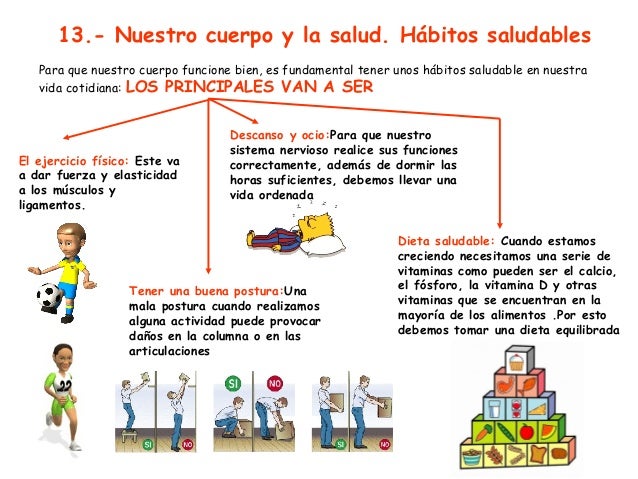Resultado de imagen para cuales son los habitos saludables para el aparato locomotor