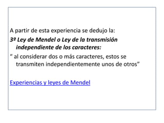 A partir de esta experiencia se dedujo la:
3º Ley de Mendel o Ley de la transmisión
   independiente de los caracteres:
“ al considerar dos o más caracteres, estos se
   transmiten independientemente unos de otros”

Experiencias y leyes de Mendel
 