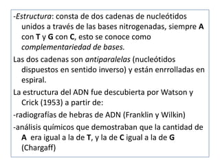 -Estructura: consta de dos cadenas de nucleótidos
   unidos a través de las bases nitrogenadas, siempre A
   con T y G con C, esto se conoce como
   complementariedad de bases.
Las dos cadenas son antiparalelas (nucleótidos
   dispuestos en sentido inverso) y están enrrolladas en
   espiral.
La estructura del ADN fue descubierta por Watson y
   Crick (1953) a partir de:
-radiografías de hebras de ADN (Franklin y Wilkin)
-análisis químicos que demostraban que la cantidad de
   A era igual a la de T, y la de C igual a la de G
   (Chargaff)
 