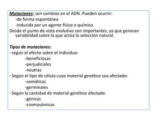 Mutaciones: son cambios en el ADN. Pueden ocurrir:
  -de forma espontánea
  -inducida por un agente físico o químico.
Desde el punto de vista evolutivo son importantes, ya que generan
  variabilidad sobre la que actúa la selección natural.

Tipos de mutaciones:
· según el efecto sobre el individuo:
        -beneficiosas
        -perjudiciales
        -neutras
· Según el tipo de célula cuyo material genético sea afectado:
        -somáticas
        -germinales
· Según la cantidad de material genético afectado
        -génicas
        -cromosómicas
 