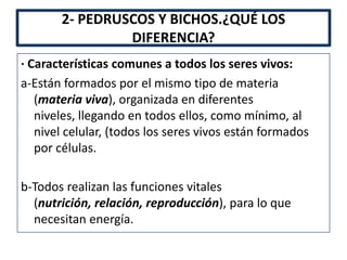 2- PEDRUSCOS Y BICHOS.¿QUÉ LOS
                DIFERENCIA?
· Características comunes a todos los seres vivos:
a-Están formados por el mismo tipo de materia
   (materia viva), organizada en diferentes
   niveles, llegando en todos ellos, como mínimo, al
   nivel celular, (todos los seres vivos están formados
   por células.

b-Todos realizan las funciones vitales
  (nutrición, relación, reproducción), para lo que
  necesitan energía.
 