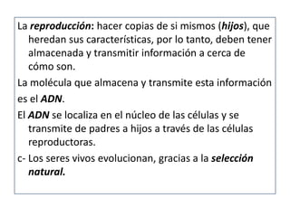 La reproducción: hacer copias de si mismos (hijos), que
   heredan sus características, por lo tanto, deben tener
   almacenada y transmitir información a cerca de
   cómo son.
La molécula que almacena y transmite esta información
es el ADN.
El ADN se localiza en el núcleo de las células y se
   transmite de padres a hijos a través de las células
   reproductoras.
c- Los seres vivos evolucionan, gracias a la selección
   natural.
 