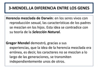 3-MENDEL.LA DIFERENCIA ENTRE LOS GENES

Herencia mezclada de Darwin: en los seres vivos con
  reproducción sexual, las características de los padres
  se mezclan en los hijos. Esta idea se contradice con
  su teoría de la Selección Natural.

Gregor Mendel demostró, gracias a sus
  experiencias, que la idea de la herencia mezclada era
  errónea, es decir, los caracteres no se mezclan a lo
  largo de las generaciones, se transmiten
  independientemente unos de otros.
 