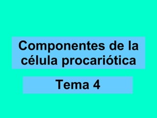 Componentes de la célula procariótica Tema 4 