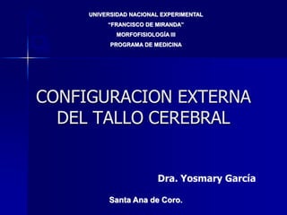 CONFIGURACION EXTERNA
DEL TALLO CEREBRAL
UNIVERSIDAD NACIONAL EXPERIMENTAL
“FRANCISCO DE MIRANDA”
MORFOFISIOLOGÍA III
PROGRAMA DE MEDICINA
Santa Ana de Coro.
Dra. Yosmary García
 