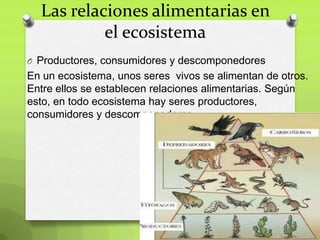 Las relaciones alimentarias en
el ecosistema
O Productores, consumidores y descomponedores

En un ecosistema, unos seres v...