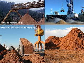 Astilla de madera (chip)

Astilla de biomasa (para xiloenergía)
 