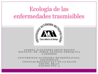 Ecología de las
enfermedades trasmisibles




    ANDREA ALEJANDRA ORTIZ REGINO
 DOCENTE: DR. JORGE ANTONIO AMÉZQUITA
               LANDEROS
 UNIVERSIDAD AUTÓNOMA METROPOLITANA-
              XOCHIMILCO
   CIENCIAS BIOLÓGICAS Y DE LA SALUD
             GRUPO: BB12A
             EXPOSICIÓN: 4
 