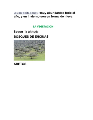 Las precipitaciones->muy abundantes todo el
año, y en invierno son en forma de nieve.
LA VEGETACION
Segun la altitud:
BOSQUES DE ENCINAS
ABETOS
 