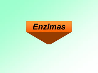 Enzimas
 