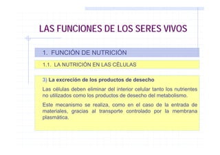 LAS FUNCIONES DE LOS SERES VIVOS
1. FUNCIÓN DE NUTRICIÓN
1.1. LA NUTRICIÓN EN LAS CÉLULAS
3) La excreción de los productos...