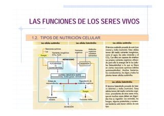 LAS FUNCIONES DE LOS SERES VIVOS
1.2. TIPOS DE NUTRICIÓN CELULAR
 
