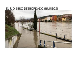 EL RIO EBRO DESBORDADO (BURGOS)
 