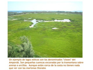 Un ejemplo de lagos eólicos son los denominados "closes" del
Ampordá. Son pequeñas cuencas excavadas por la tramontana sobre
arenas o arcillas. Aunque están cerca de la costa no tienen nada
que ver con las marismas litorales
 