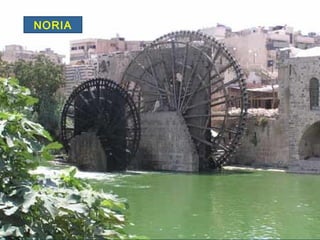 NORIA
 