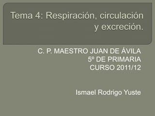 C. P. MAESTRO JUAN DE ÁVILA
             5º DE PRIMARIA
              CURSO 2011/12


         Ismael Rodrigo Yuste
 