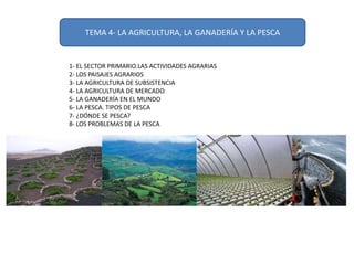 TEMA 4- LA AGRICULTURA, LA GANADERÍA Y LA PESCA

1- EL SECTOR PRIMARIO.LAS ACTIVIDADES AGRARIAS
2- LOS PAISAJES AGRARIOS
3- LA AGRICULTURA DE SUBSISTENCIA
4- LA AGRICULTURA DE MERCADO
5- LA GANADERÍA EN EL MUNDO
6- LA PESCA. TIPOS DE PESCA
7- ¿DÓNDE SE PESCA?
8- LOS PROBLEMAS DE LA PESCA

 