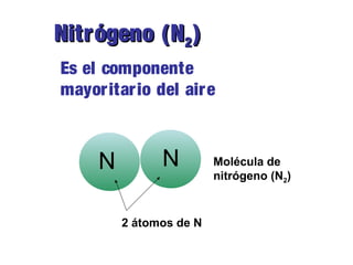Nitrógeno (NNitrógeno (N22))
Es el componente
mayoritario del aire
N N
2 átomos de N
Molécula de
nitrógeno (N2)
 