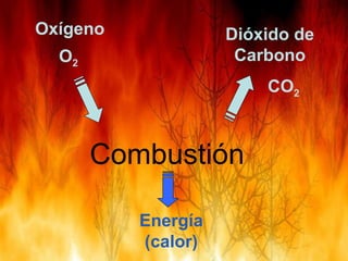 Combustión
Dióxido de
Carbono
Oxígeno
O2
CO2
Energía
(calor)
 